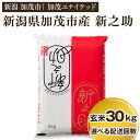 【ふるさと納税】【令和6年産新米先行予約】 新潟県産 新之助 玄米30kg（10kg×3） 選べる配送回数 （通常配送1回～定期便12回） 新潟 ブランド米 加茂市 加茂ユナイテッド