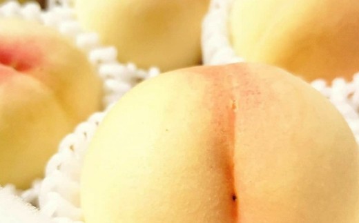 【訳アリ家庭用】清水白桃 3.6キロ