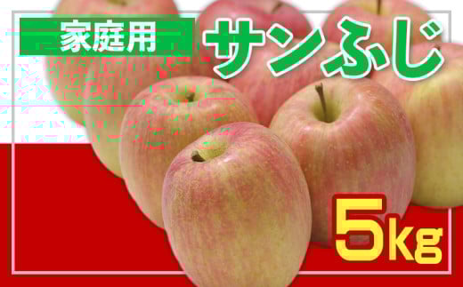 【家庭用】☆フルーツ王国山形☆ りんご (サンふじ) 5kg FY25-058
