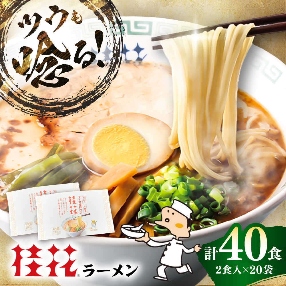 【ふるさと納税】桂花ラーメン 2食入×20袋 / 豚骨 トンコツ 熊本ラーメン 鶏ガラスープ マー油 ストレート麺 濃厚 拉麺 簡単 手軽 便利 ケイカ 即席 らーめん 半生麺 常温 人気 お取り寄せ グルメ 熊本県 菊陽町【桂花拉麺株式会社】[BHAR001]