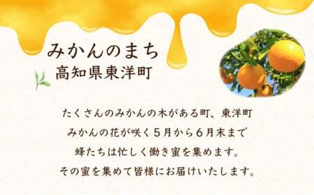『純国産』土佐のみかん山のはちみつ＜600g＞ 国産 東洋町産 蜂蜜 ハチミツ ハニー 国産はちみつ 国産ハチミツ 四国 家庭用 自宅用 大容量 送料無料 TA21 【田中農園】