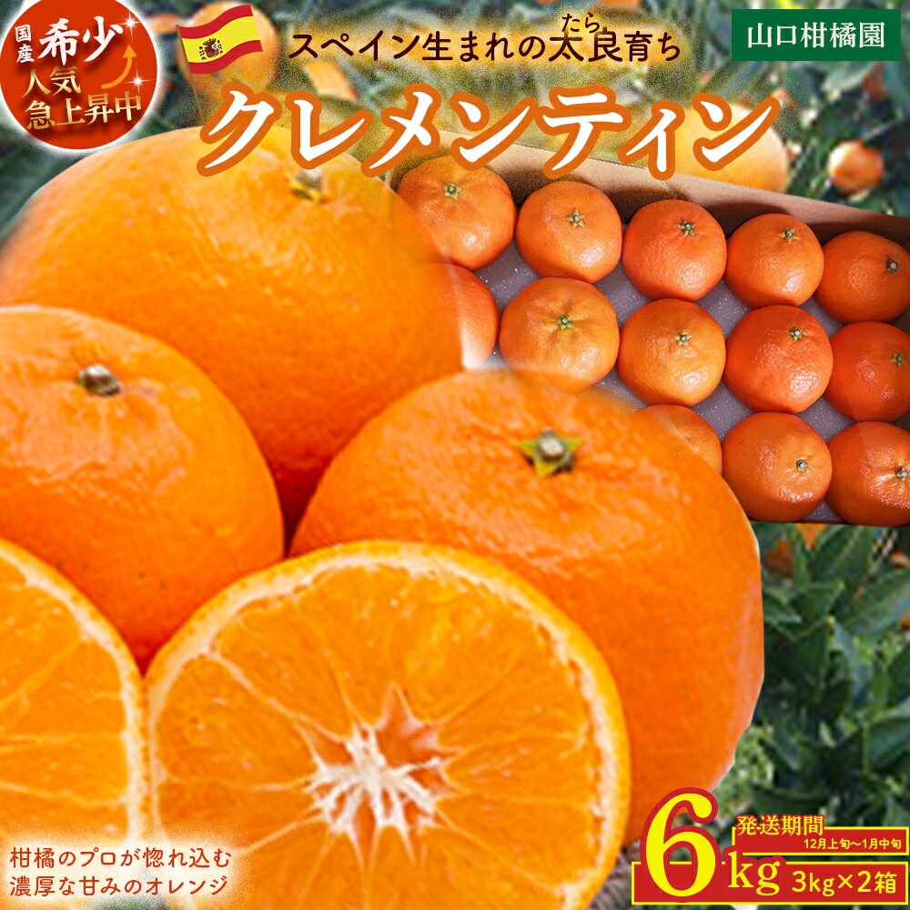 【ふるさと納税】スペイン生まれのたら育ちクレメンティン 6kg クレメンティン みかん 柑橘 国産 オレンジ マンダリン 希少 ジューシー 佐賀県 太良町 ND2