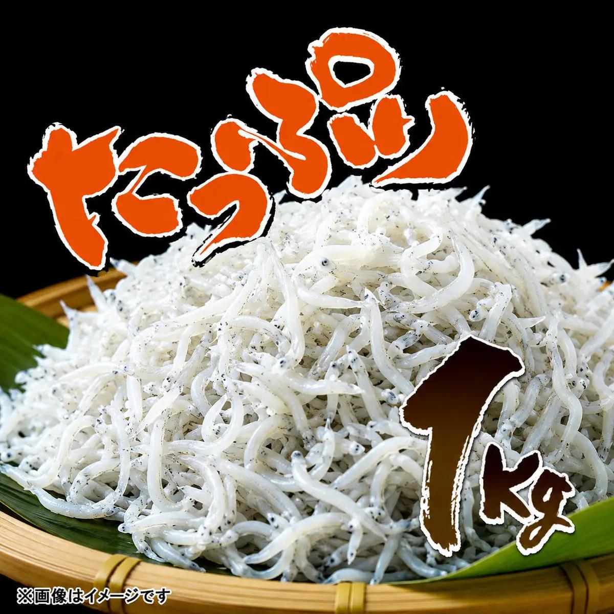 しらす 1kg 義丸のだんじり しらす