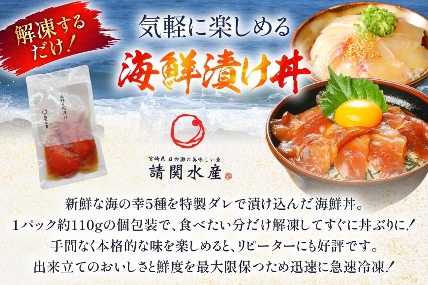 海鮮丼 漬丼 全5種 8食 セット [請関水産 宮崎県 日向市 452061675] ブリ マダイ マグロ サーモン カツオ 海鮮丼の具 海鮮丼セット 食べ比べ 冷凍 漬け丼 簡単 個包装 時短 お茶碗盛り