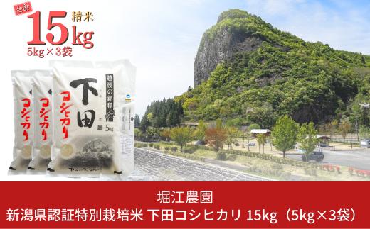 [9月中発送可] 新潟県認証特別栽培米 下田コシヒカリ 15kg [米 9月発送] 令和6年産 三条市産 こしひかり [堀江農園]【030S050】