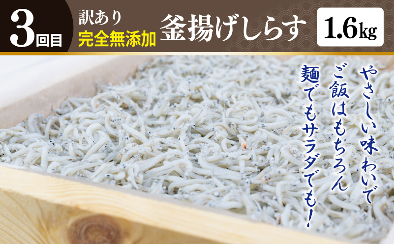店主セレクト ハンバーグ／しらす 食べ比べ 定期便 全3回【毎月配送コース】 099Z290