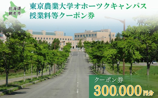 
                  東京農業大学オホーツクキャンパス授業料等300,000円分クーポン券 【 ふるさと納税 人気 おすすめ ランキング 授業料等 大学 東京農業大学 東農大 東京農業 オホーツク キャンパス クーポン 券 学生 北海道 網走市 】 ABBD010
                