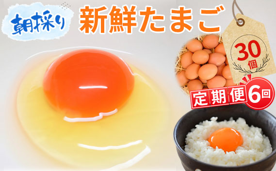【毎月定期便6回】美味しい産みたて朝採り新鮮たまご（手集卵）ミネラルエッグ30個×6回
