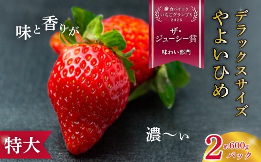 いちご 特大 デラックスサイズ 大粒 やよいひめ 2パック 2027年 先行予約 | いちご 香り 大粒 特大 デラックス 高級 特別 旬 鮮度 フルーツ 新鮮 朝採れ 採れたて サイズ 大きい 果肉 甘い 美味しい ジューシー 甘味 品質 健康 日持ち 果物 デザート 贈り物 贈答品 ギフト お取り寄せ 食べ比べ 人気 檜山いちご園 茨城県 常陸太田市