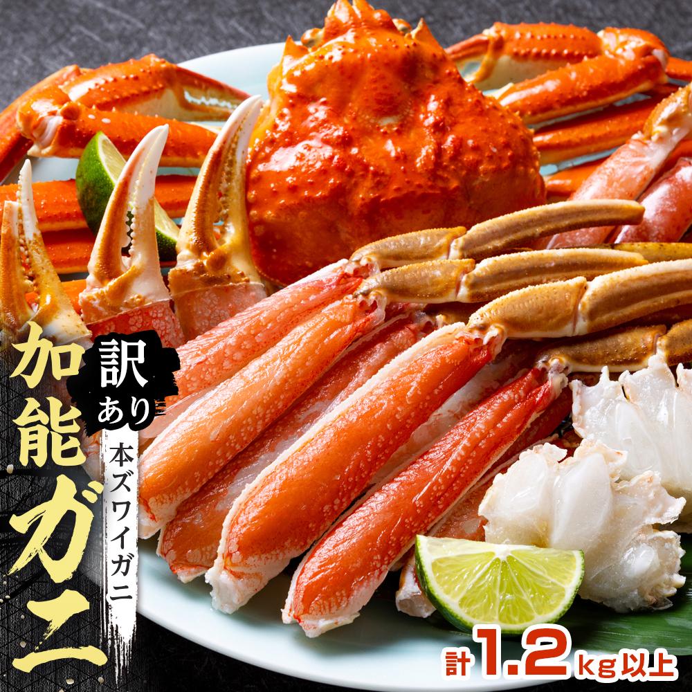 【ふるさと納税】【訳あり】金沢港より直送！ボイル加能ガニ 2杯セット | 石川 金沢 加賀百万石 加賀 百万石 北陸 北陸復興 北陸支援