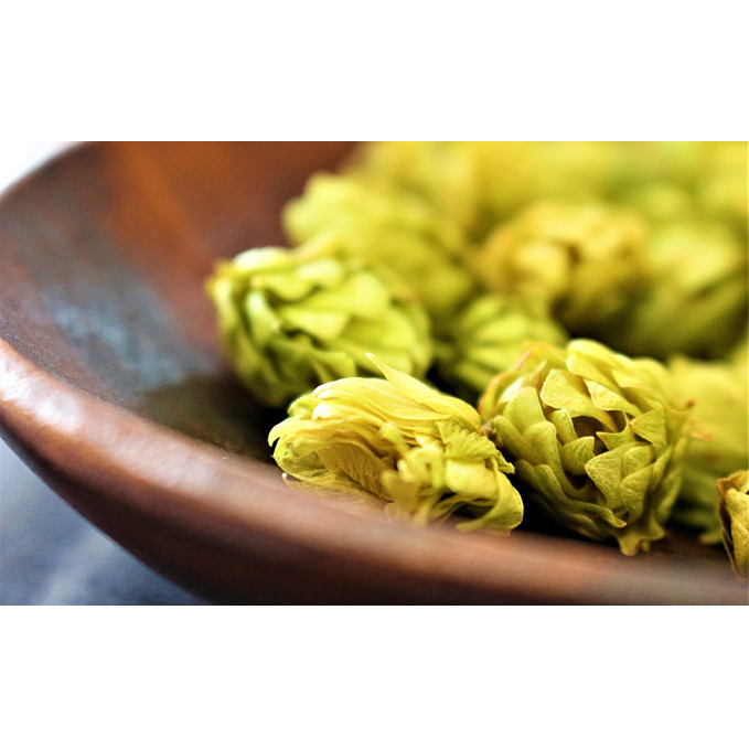 ◆3ヵ月連続お届け定期便◆7年ぶりにリニューアル！！サッポロクラシック 500ml×24本 お酒 ビール 缶ビール 晩酌 家飲み 宅飲み アルコール 素材 うまみ 爽快 飲み心地 _イメージ2