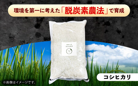 【新米】雲南市産 コシヒカリ 12kg（3kg×4袋） 島根県雲南市/株式会社アルプロン(米)｜ 米 白米 精米 こしひかり[AIDR012]