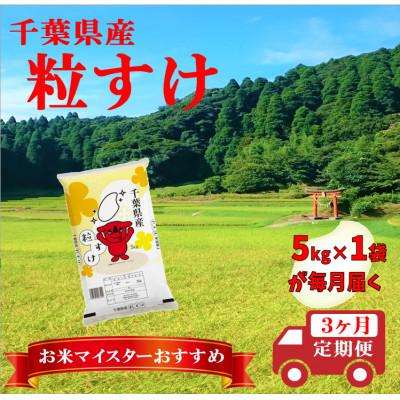ふるさと納税 大網白里市 【毎月定期便】粒すけ 精米 5kg (5kg×1袋)全3回 | 