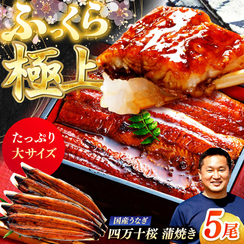 【ふるさと納税】極上国産うなぎ四万十桜 蒲焼き5尾 たっぷり大サイズ / 国産 高知 四万十 うなぎ ウナギ 鰻 蒲焼き うな重 惣菜 贅沢 【有限会社もりた】[ATHE004]