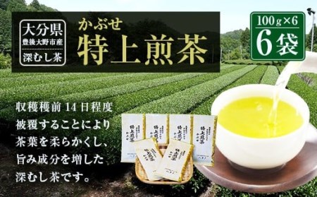 014-186 特上煎茶 かぶせ 100ｇ×6袋 600g