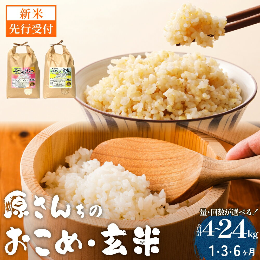 【ふるさと納税】【令和8年産米先行受付】原さんちのお米 白米 玄米 4kg -10kg 1回 3回 6回 選べる 定期便 ひのひかり 米 お米 こめ コメ ご飯 ヒノヒカリ 常温 大分県 大分 玖珠町 玖珠