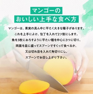 【令和8年発送】宮崎県産完熟マンゴー　三國農園　完熟マンゴー2L×3玉 【 果物 フルーツ マンゴー 宮崎県産 完熟マンゴー みやざきマンゴー 】