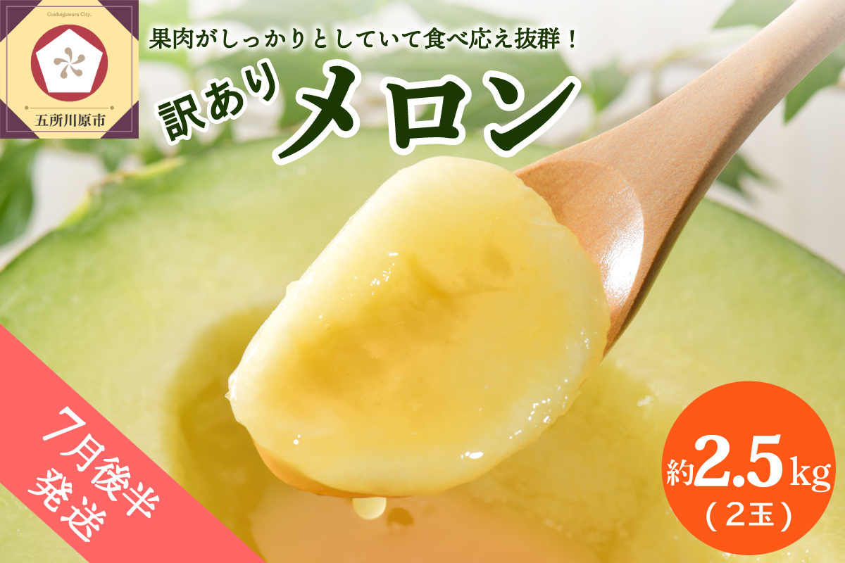 【2026年7月後半発送】【訳あり】 メロン 青肉 2玉 (約2.5kg) 青森県産