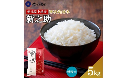 
                  令和7年産 新潟県上越産 特別栽培米 新之助 【無洗米】 5kg 5キロ しんのすけ おおた農場 上越市
                