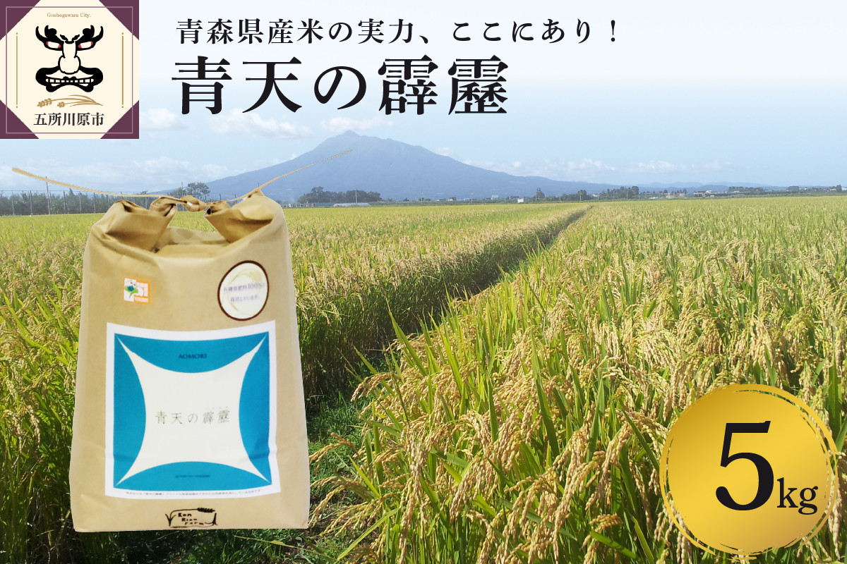 
                  【令和7年産米】米 青天の霹靂 5kg 特別栽培米 青森県産 【KonRiceFarmの お米 米 こめ コメ 白米 精米 晴天の霹靂 青森 五所川原 】
                