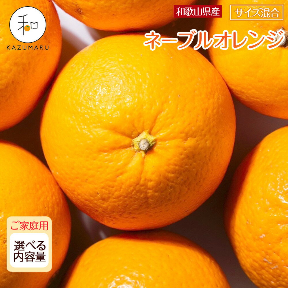 【ふるさと納税】［先行予約］家庭用 森本農園の手選別 ネーブルオレンジ 4.5～10kg 和歌山県産 サイズ混合 ［北海道・沖縄・離島配送不可］ | みかん 蜜柑 フルーツ 果物 くだもの 食品 人気 おすすめ 送料無料