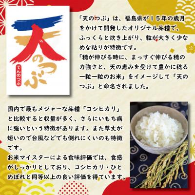 ふるさと納税 郡山市 令和7年産 福島県郡山産天のつぶ(精米)5kg×2 |  | 01