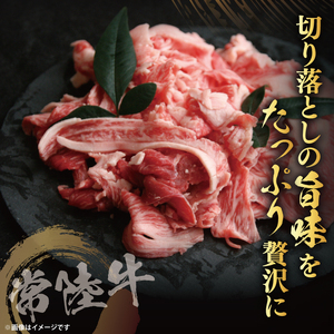 【茨城県共通返礼品】【3ヶ月定期便】常陸牛切り落とし1kg（500g×2）｜ブランド牛 銘柄牛 和牛 黒毛和牛 国産 A5・A4ランク 等級 お肉 牛肉 牛丼 すき焼き 炒め物 小分け 定期 3回 毎