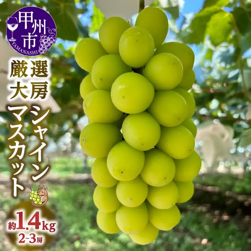 厳選大房シャインマスカット2～3房 約1.4kg【2026年発送】（SSE）C2-1840 シャインマスカット フルーツ