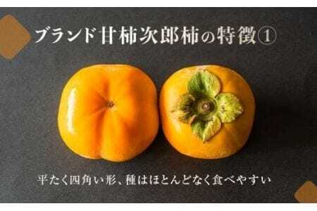 次郎柿 小箱 大玉 約9個 豊橋 柿