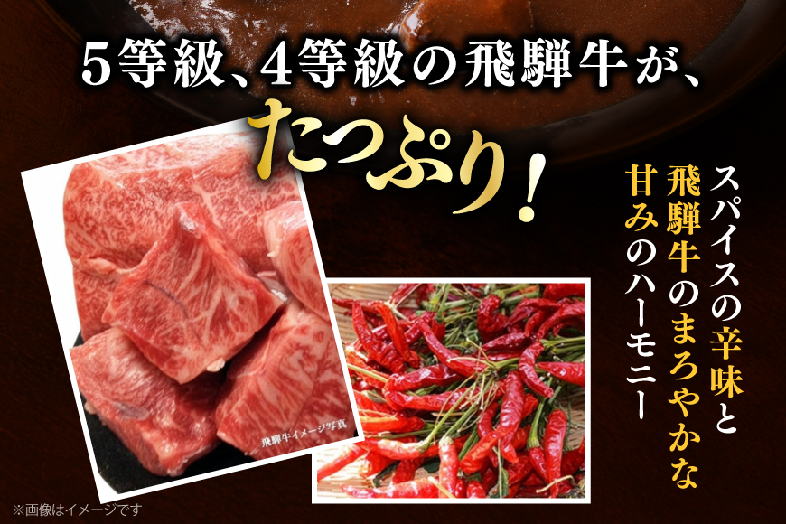 カレー レトルト 肉のくまざき特製 飛騨牛 ビーフカレー 3個 [熊崎畜産 愛知県 江南市 ko23btu560000] レトルト食品 レンジ対応 牛カレー 惣菜 非常食 ストック 簡単 時短 お手軽