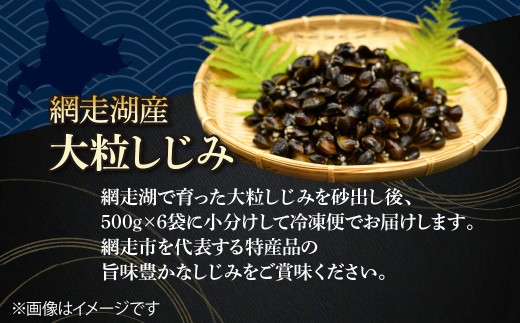 【定期便】かにやで人気の網走湖産大粒しじみ貝とはまなす味噌セット　全5回【 ふるさと納税 人気 おすすめ ランキング シジミ みそ ミソ 簡単調理 海鮮 魚介 セット オホーツク 北海道 網走市 送料