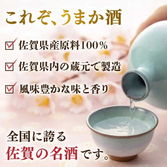 天吹 純米大吟醸50 300ml×12本セット / 佐賀県 / 天吹酒造合資会社 [41ANCX003]
