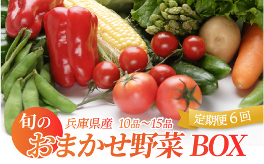 【定期便】 旬のおまかせ野菜BOX 10品～15品 6回