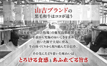 福永畜産 山吉牧場 鹿児島県産黒毛和牛 しゃぶしゃぶ用詰合せ K326-006 肉 牛肉 冷凍