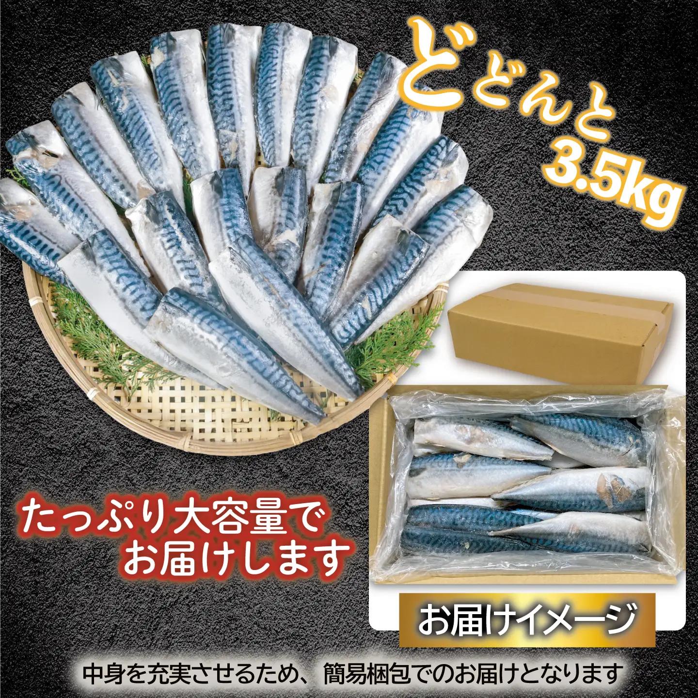 訳あり 無塩 厚切り とろさば フィーレ 約 3.5kg 【 鯖 】 カネジョウ大崎