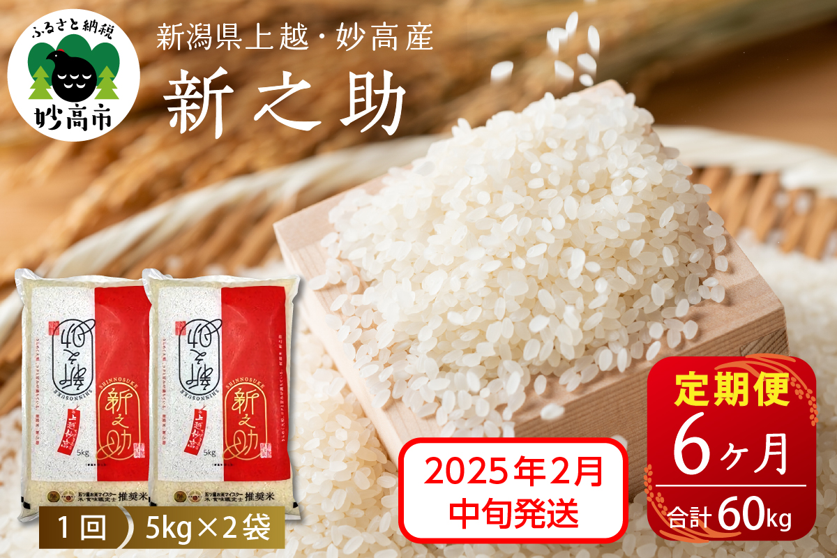 【2025年2月中旬発送】【定期便】令和6年産 新潟県上越・妙高産新之助10kg(5kg×2袋)×6回（計60kg）