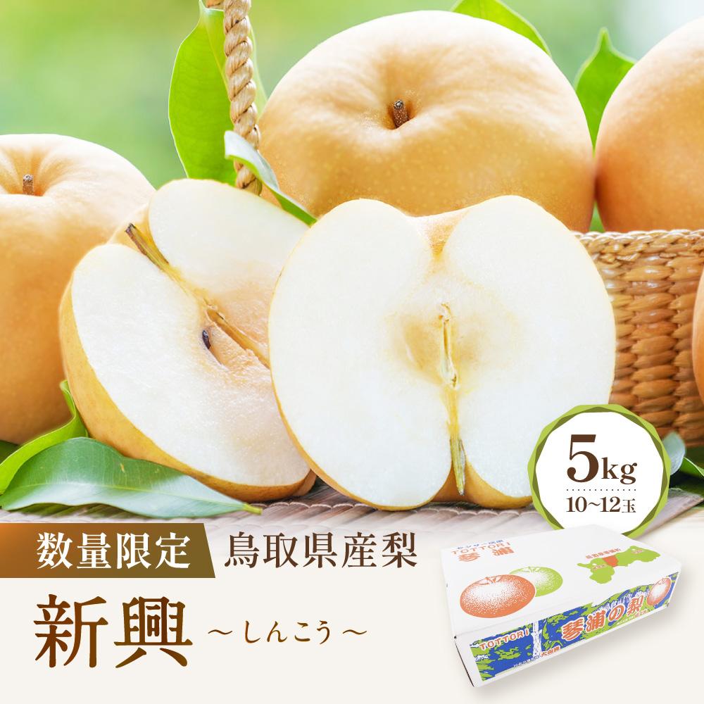 【ふるさと納税】【先行予約】数量限定 鳥取県産梨 新興（しんこう） 5kg（10～12玉） | フルーツ 果物 くだもの 食品 人気 おすすめ 送料無料