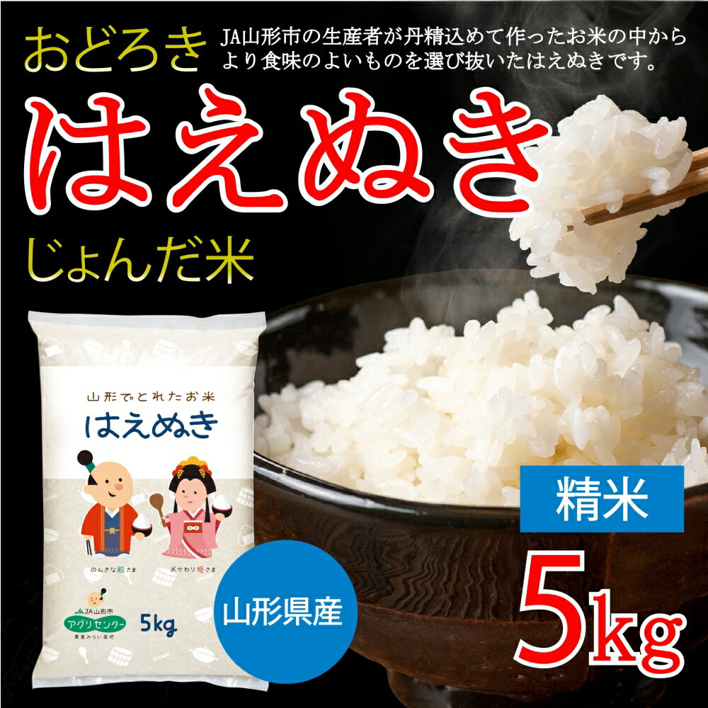 【ふるさと納税】令和6年産 山形県産 おどろき はえぬき じょんだ米 5kg FY25-302 山形 ブランド米 送料無料 お取り寄せ 精米 山形市 山形県
