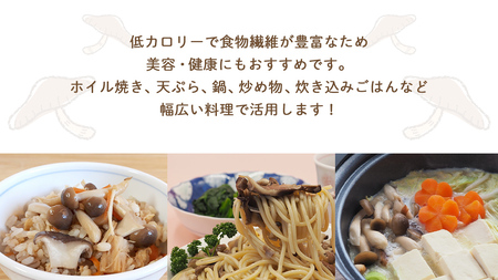 《 全３回 隔月定期便 》 きのこ の 詰め合わせ Sサイズ 約1kg （茨城県共通返礼品 城里町） 定期便 キノコ 舞茸 あわび茸 たもぎ茸 しいたけ ぶなしめじ セット 鍋 炒め物 [CX008s