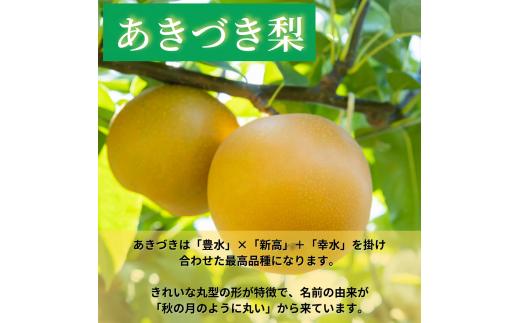 【先行予約】しゅうたの畑 希少品種 あきづき梨 6玉から7玉 2025年9月上旬から9月中旬 出荷予定