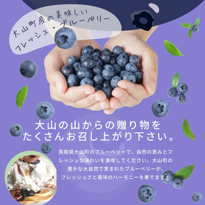 MS-31　新鮮生ブルーベリー1㎏（6月採れ）