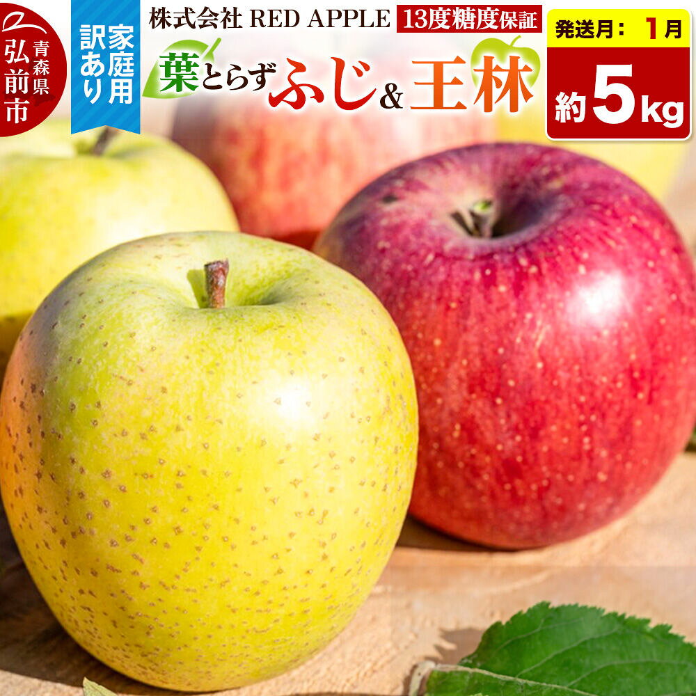 【ふるさと納税】【27年1月発送】りんご 13度糖度保証【訳あり】家庭用 葉とらずふじ＆王林 約5kg 先行受付 [アップル おいしい ふじ りんご 王林 黄色 果実 果物 赤色 糖度 美味 葉っぱ 葉とらず 林檎]