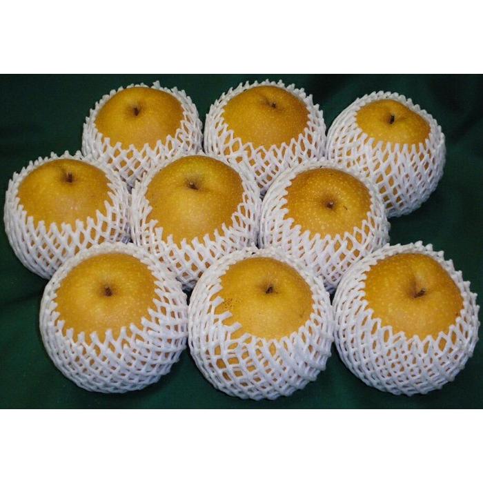 【ふるさと納税】王秋梨 5kg箱 (約6～12玉) | 鳥取 梨 なし 王秋梨 期間限定 送料無料 鳥取県 鳥取市