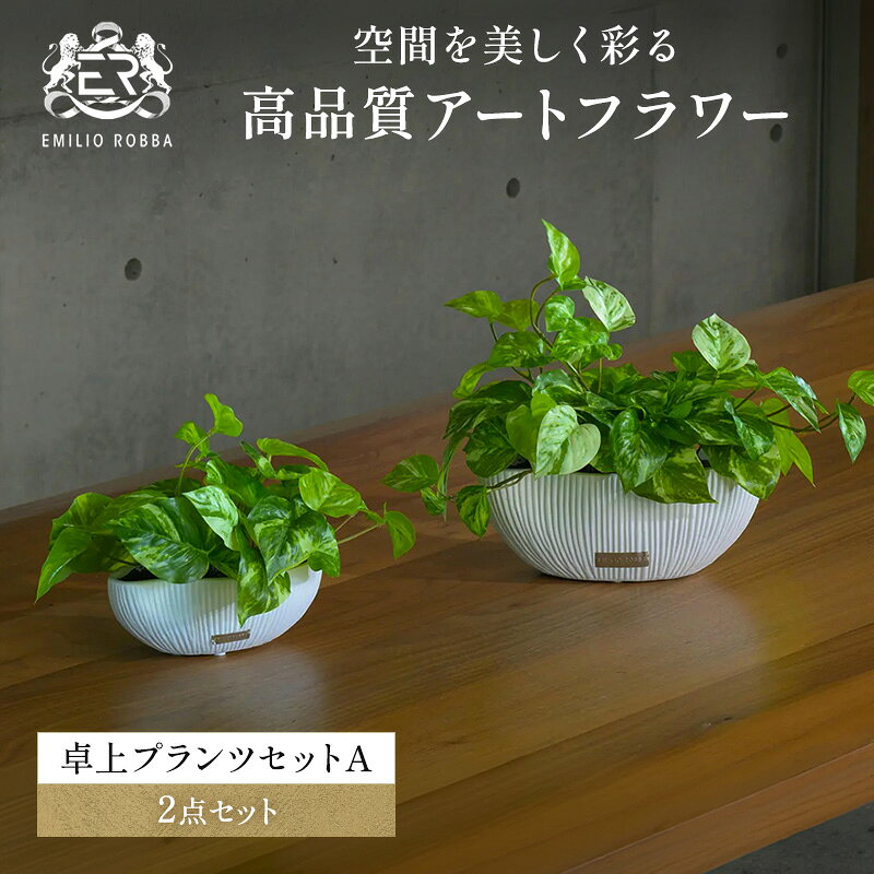 【ふるさと納税】エミリオロバ　卓上プランツAセット