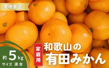 【11月発送】家庭用 有田みかん 和歌山 訳あり S～Lサイズ 大きさお任せ 5kg / みかん フルーツ 果物 くだもの 有田みかん 蜜柑 柑橘  わけあり【ktn007A-1】