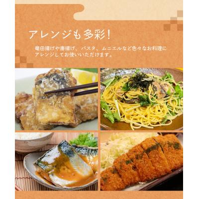 ふるさと納税 紀宝町 骨なし 無添加 塩さば 切身 60g × 12枚 (4枚入り3セット)【nss507】 |  | 03
