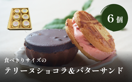 食べきりサイズのテリーヌショコラ&バターサンド６個セット