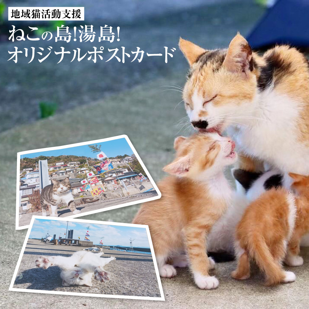 【ふるさと納税】ねこの島！湯島！オリジナルポストカード【地域猫活動支援】 2枚 選べる寄附額 カード ポストカード ねこ 猫 雑貨 送料無料