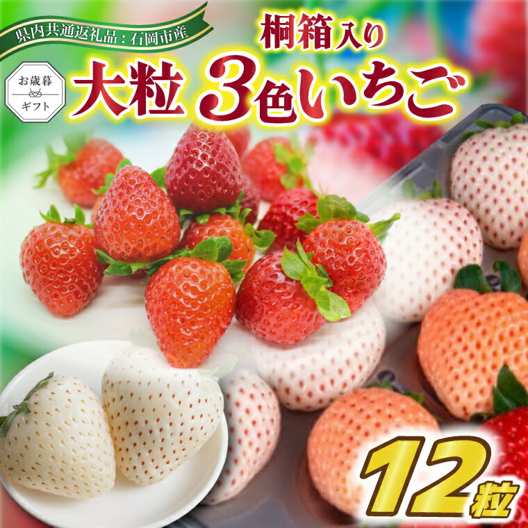 【ふるさと納税】お歳暮　桐箱入り　大粒3色いちご　12粒　県内共通返礼品　石岡市産【配送不可地域：離島・沖縄県】 (BR145)