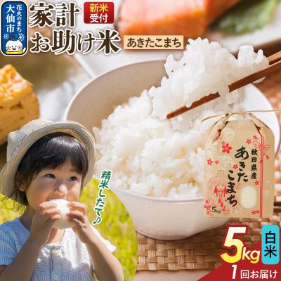 ふるさと納税 大仙市 白米  あきたこまち 5kg 秋田県産 令和8年産|22_kml-060501s